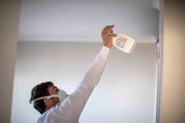 Best Toxic Mold Removal  in Dayton, NV